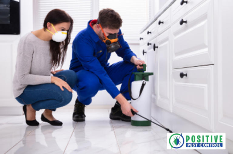 Pest Control Experts in Calgary | Safe, Local & Trusted Service