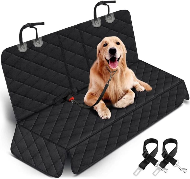 What US Entry Steps Do Your Pets Need To Travel Safely