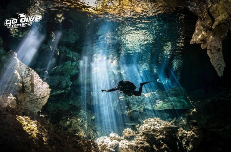 Explore the Underwater World: Cenote Adventures await