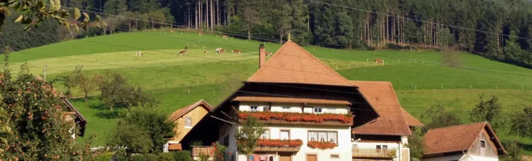 Discover Stunning Vosges Roads by Motorcycle in Europe