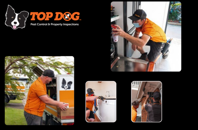 Effective Pest Solutions for Your Property in Australia’s Coastal Regions
