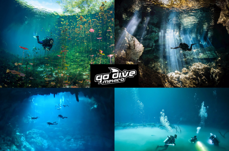 Explore the best cenotes for underwater adventures in Mexico